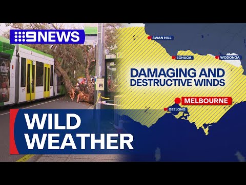 Wild weather lashes Victoria, leaving thousands without power | 9 News ...