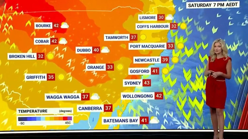 Extreme heat and fire danger for New South Wales as heatwave takes hold ...