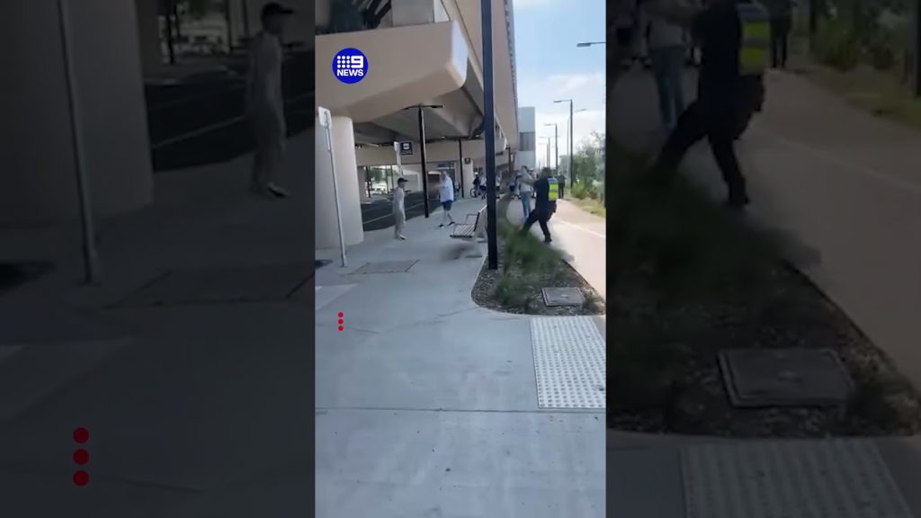 Alleged thief arrested after tense police standoff | 9 News Australia ...