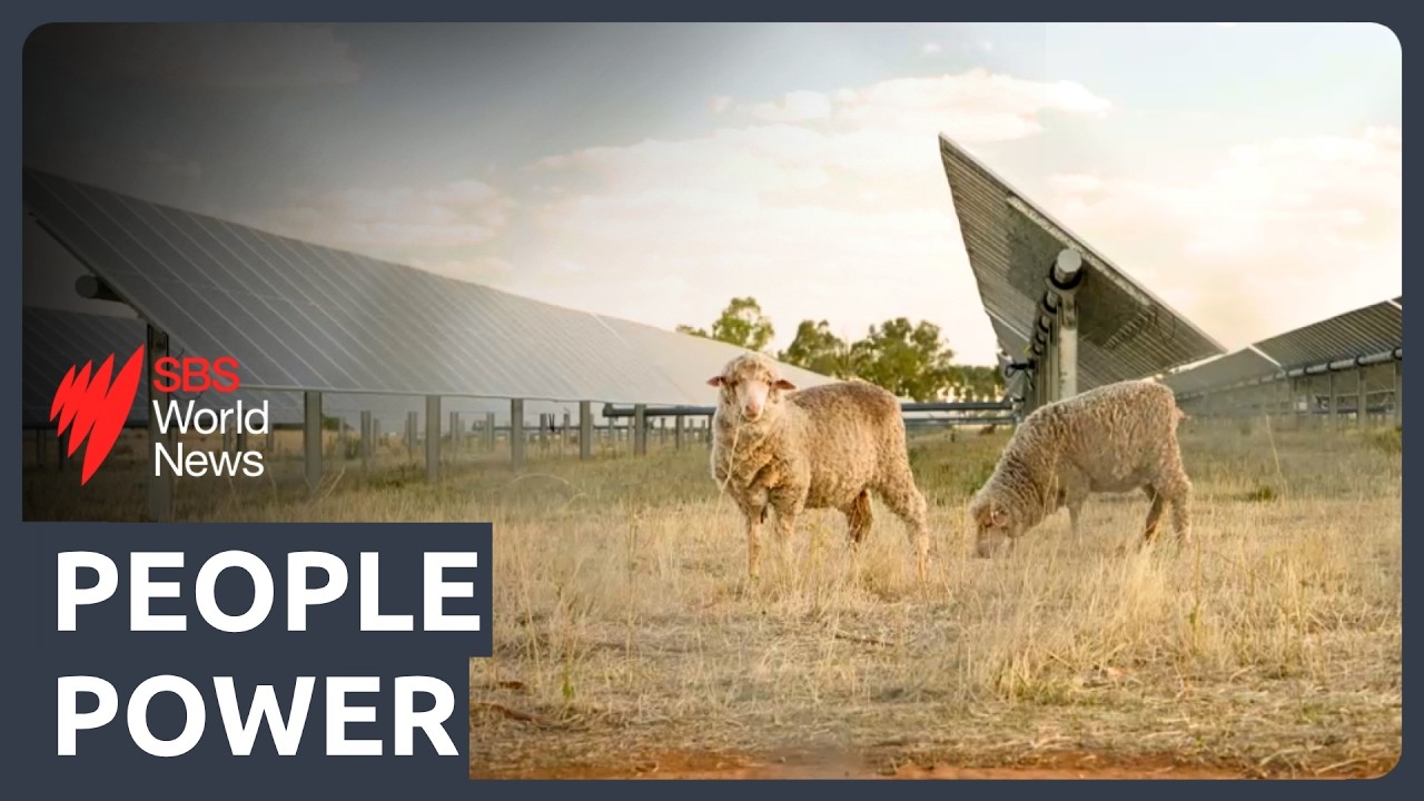 Farming sunshine: How regional communities are driving Australia’s ...