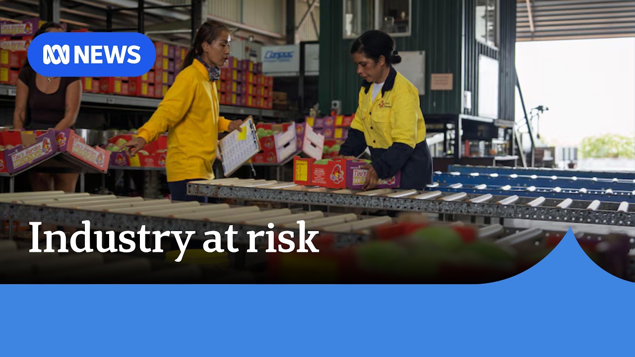 Farmers raise alarm on cuts to country’s working holiday visa program ...